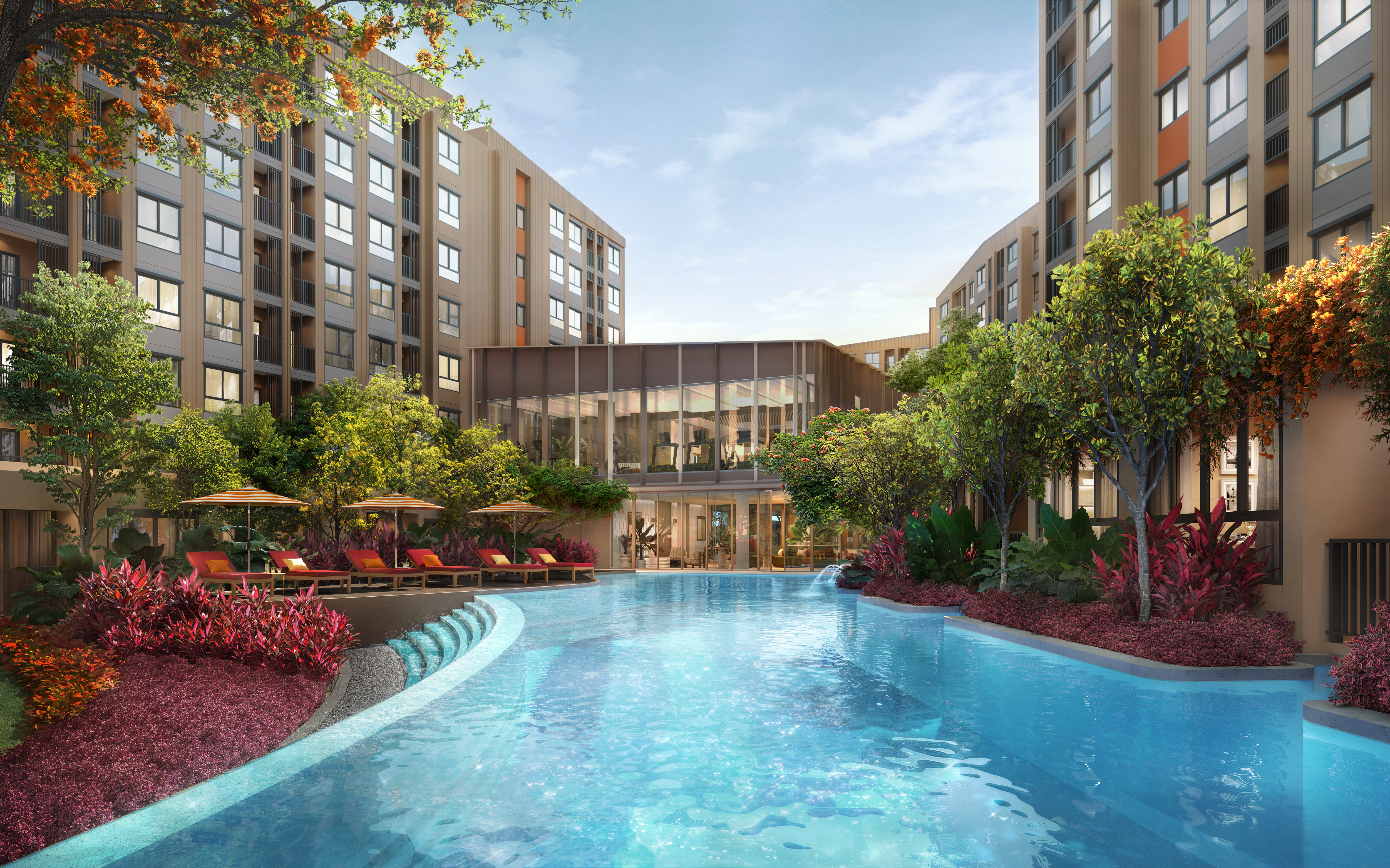 Dcondo Cove